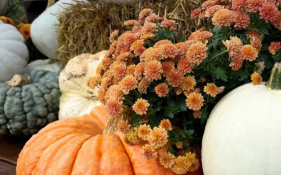 Your Perfect Fall Wedding – Catering Options Customized For The Fall Season