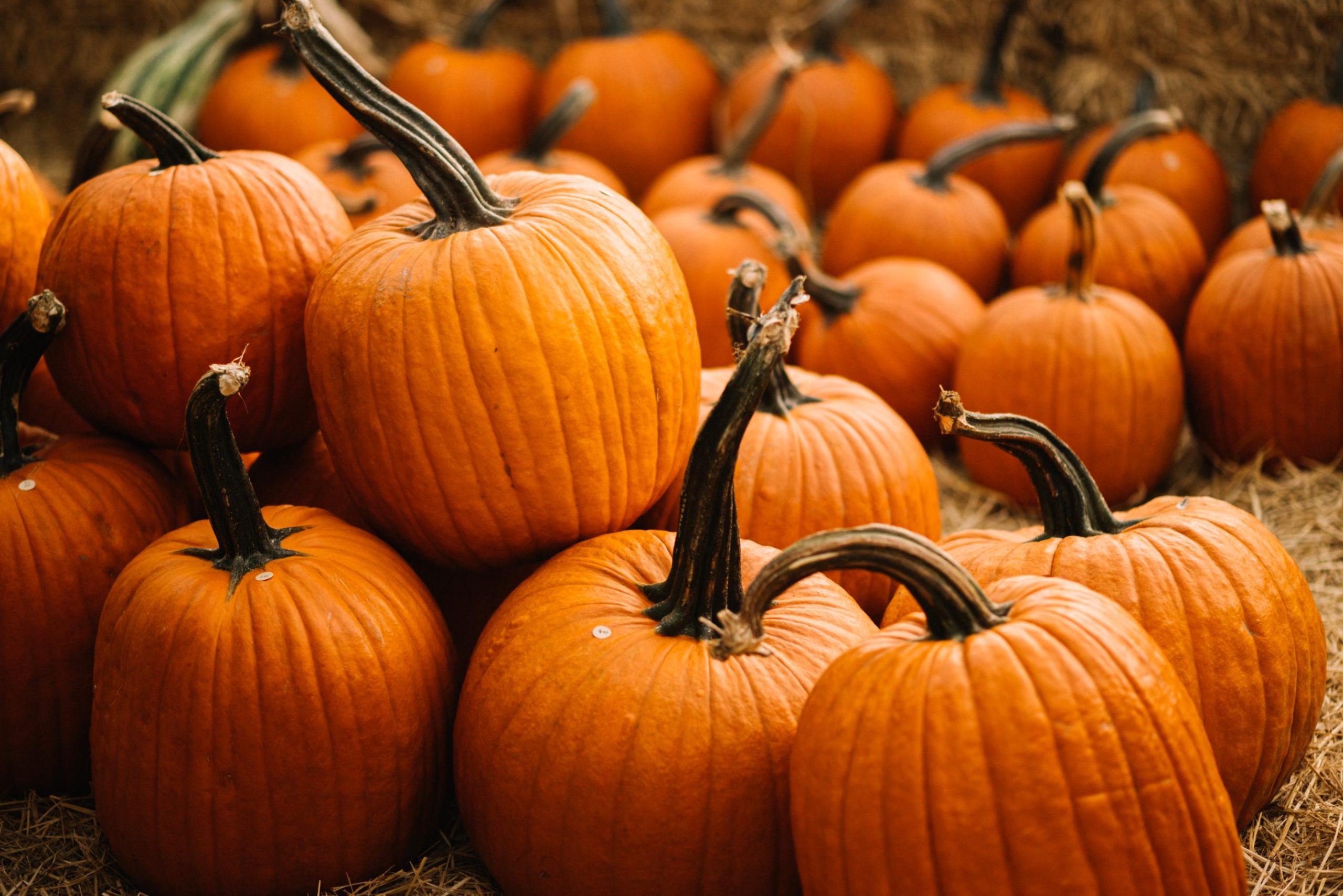 Pumpkins